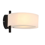 Светильник настенный Evoluce FORESTA SL483.401.01 60Вт E27