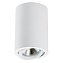 Светильник потолочный Lightstar RULLO 214406 50Вт GU10