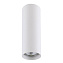 Светильник потолочный Lightstar Rullo 214496 50Вт GU10