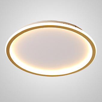 Светильник потолочный ImperiumLOFT Tala 208007-23 58Вт LED