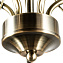 Люстра потолочная Arte Lamp BLOSSOM A2709PL-5AB 60Вт 5 лампочек E27