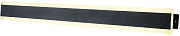 Светильник фасадный Favourite Sagitta 4045-1W 20Вт IP67 LED матовый/чёрный