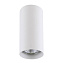 Светильник потолочный Lightstar Rullo 214486 50Вт GU10