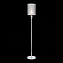 Торшер Evoluce PAZIONE SLE107105-01 60Вт E14