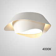 Светильник потолочный ImperiumLOFT Hemmo 228973-23 26Вт LED