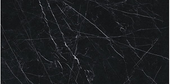 Лаппатированный керамогранит ARIOSTEA Marmi Classici PK612547 Nero Marquinia Lev Silk 60х120см 1,44кв.м.