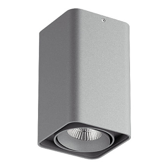 Светильник точечный накладной Lightstar Monocco 212539 50Вт GU10/GU5.3