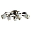 Люстра потолочная Arte Lamp PERCE A6061PL-6AB 60Вт 6 лампочек E14
