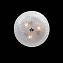 Светильник точечный накладной Lightstar Zucche 820830 120Вт E27