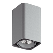 Светильник точечный накладной Lightstar Monocco 052139-IP65 10Вт LED