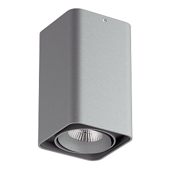 Светильник точечный накладной Lightstar Monocco 052339-IP65 10Вт LED
