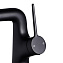 Смеситель для раковины Maxonor PL1194-7 чёрный