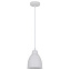 Светильник подвесной Arte Lamp BRACCIO A2054SP-1WH 60Вт E27