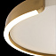 Светильник потолочный Loft It Ring 10026 30Вт LED