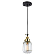 Светильник подвесной Lussole BRIGHAMTON GRLSP-9677 6Вт E14