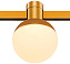 Магнитный трековый светильник ST Luce FARM ST815.206.05 5Вт LED белый