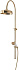 Душевой комплект CAPRIGO PARTS 99-060-oro золото