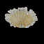 Светильник потолочный Lightstar Murano 601033 120Вт E14