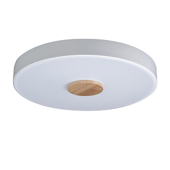 Светильник потолочный Loft It Axel 10003/24 White 24Вт LED