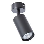 Светильник потолочный Arte Lamp AQUARIUS A3216PL-1BK 35Вт GU10