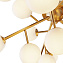 Светильник потолочный Maytoni Dallas MOD545CL-20BS 560Вт G9