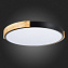 Светильник потолочный Evoluce DELIA SLE201342-01 40Вт LED