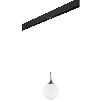 Трековый светильник Lightstar Globo PRO813021 40Вт E14 белый для однофазного трека