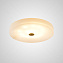 Светильник потолочный ImperiumLOFT Salena 207993-23 24Вт LED