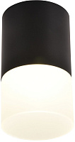 Светильник потолочный Favourite Naram 3070-1C 5Вт LED