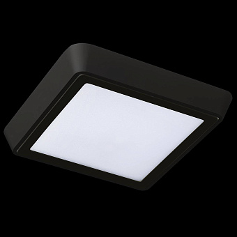 Светильник точечный накладной Lightstar Urbano 216872 20Вт LED