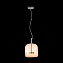 Светильник подвесной ST Luce PALOCHINO SL1053.273.01 6Вт LED