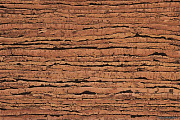 Пробковый пол CORKSTYLE NATURAL CORK-GLUE 915х305х6мм Tigre Tigre_GLUE 3,36кв.м