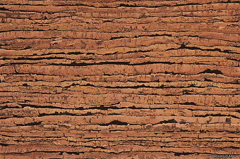 Пробковый пол CORKSTYLE NATURAL CORK-GLUE 915х305х6мм Tigre Tigre_GLUE 3,36кв.м