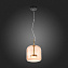 Светильник подвесной ST Luce PALOCHINO SL1053.273.01 6Вт LED