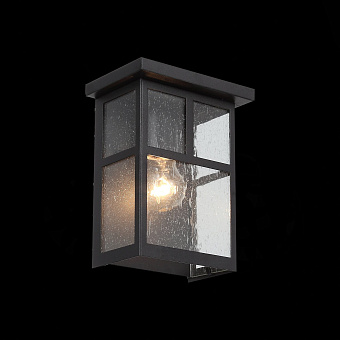 Светильник фасадный ST Luce GLAZGO SL079.401.01 60Вт IP20 E27 тёмный кофе