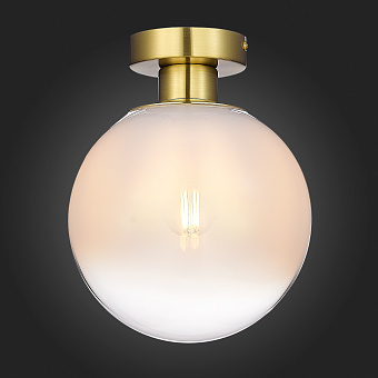 Светильник потолочный ST Luce CASSIUS SL1190.202.01 60Вт E27