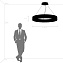 Люстра подвесная Lightstar Faraone 701181 78Вт 1 лампочек LED