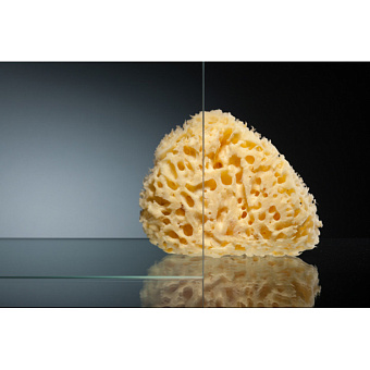 Душевая дверь Vegas Glass ZP ZP 140 05 01 190х140см стекло прозрачное