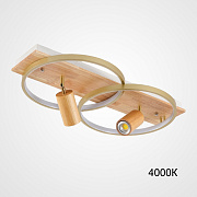 Светильник потолочный ImperiumLOFT Didrika 223835-23 52Вт LED