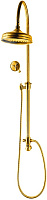 Душевой комплект CAPRIGO PARTS 99-064-oro золото