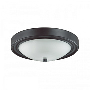 Светильник настенно-потолочный Lumion NINA 5260/2C 120Вт E27