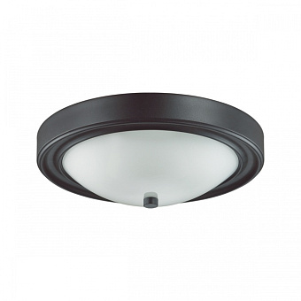 Светильник настенно-потолочный Lumion NINA 5260/2C 120Вт E27