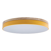 Светильник потолочный Loft It Axel 10001/36 Yellow 36Вт LED