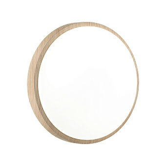 Светильник настенно-потолочный Sonex LOSTA 7607/AL 18Вт LED