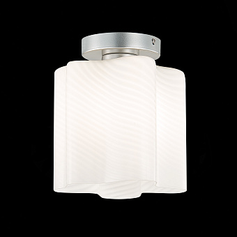 Светильник потолочный ST Luce ONDE SL117.502.01 60Вт E27