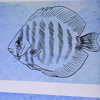 Шторка для ванной WASSERKRAFT Inn 180х180см белый/синий