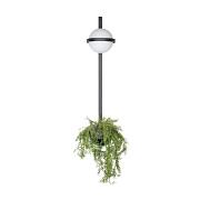 Светильник настенный Loft It Jardin 10121W/B 24Вт LED