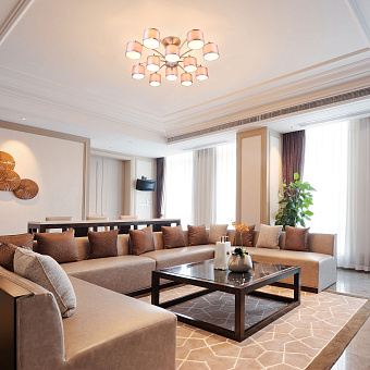 Люстра подвесная Eurosvet Adagio 60080/12 сатин-никель 40Вт 12 лампочек E14