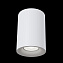 Светильник потолочный Maytoni Slim C012CL-01W 50Вт GU10