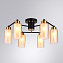 Люстра потолочная Arte Lamp LEO A7027PL-6BK 40Вт 6 лампочек E14
